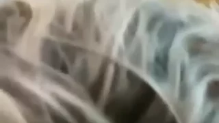 Cota mama antes do trabalho com tesao