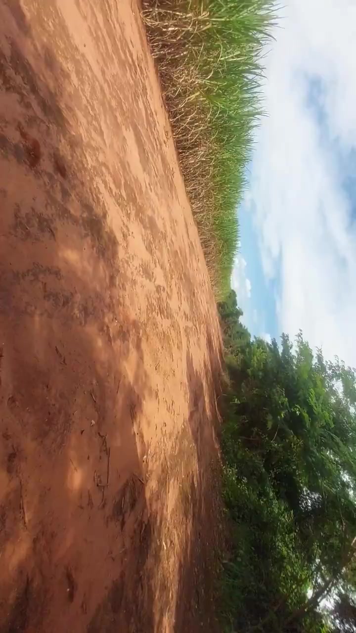 1 vez dando o cu